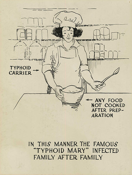 an illustration showing how typhoid was spread unintentionally